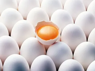 Капитал - Производители яиц заплатят штраф за ценовой сговор