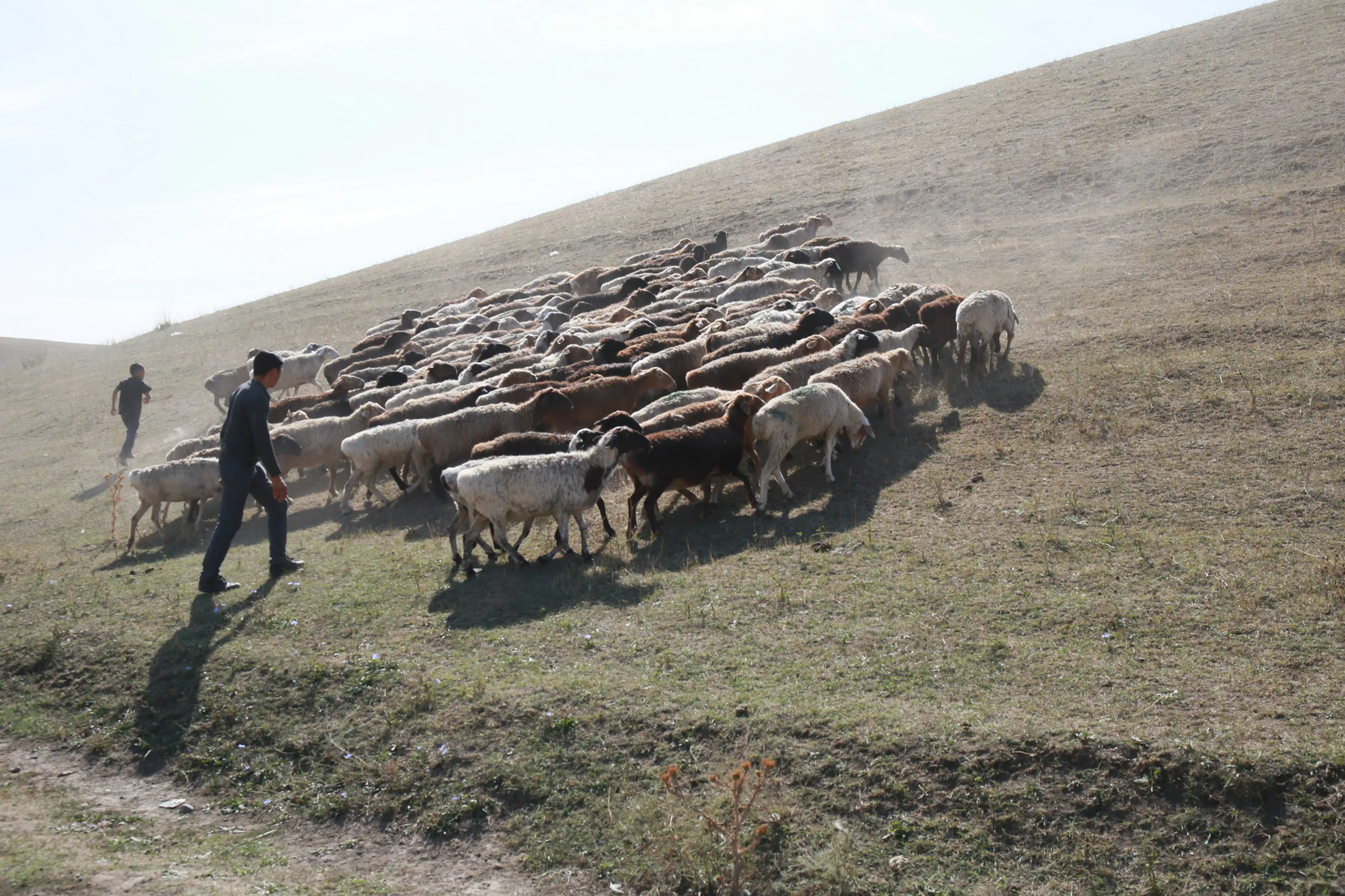 Фото: Руслан Пряников