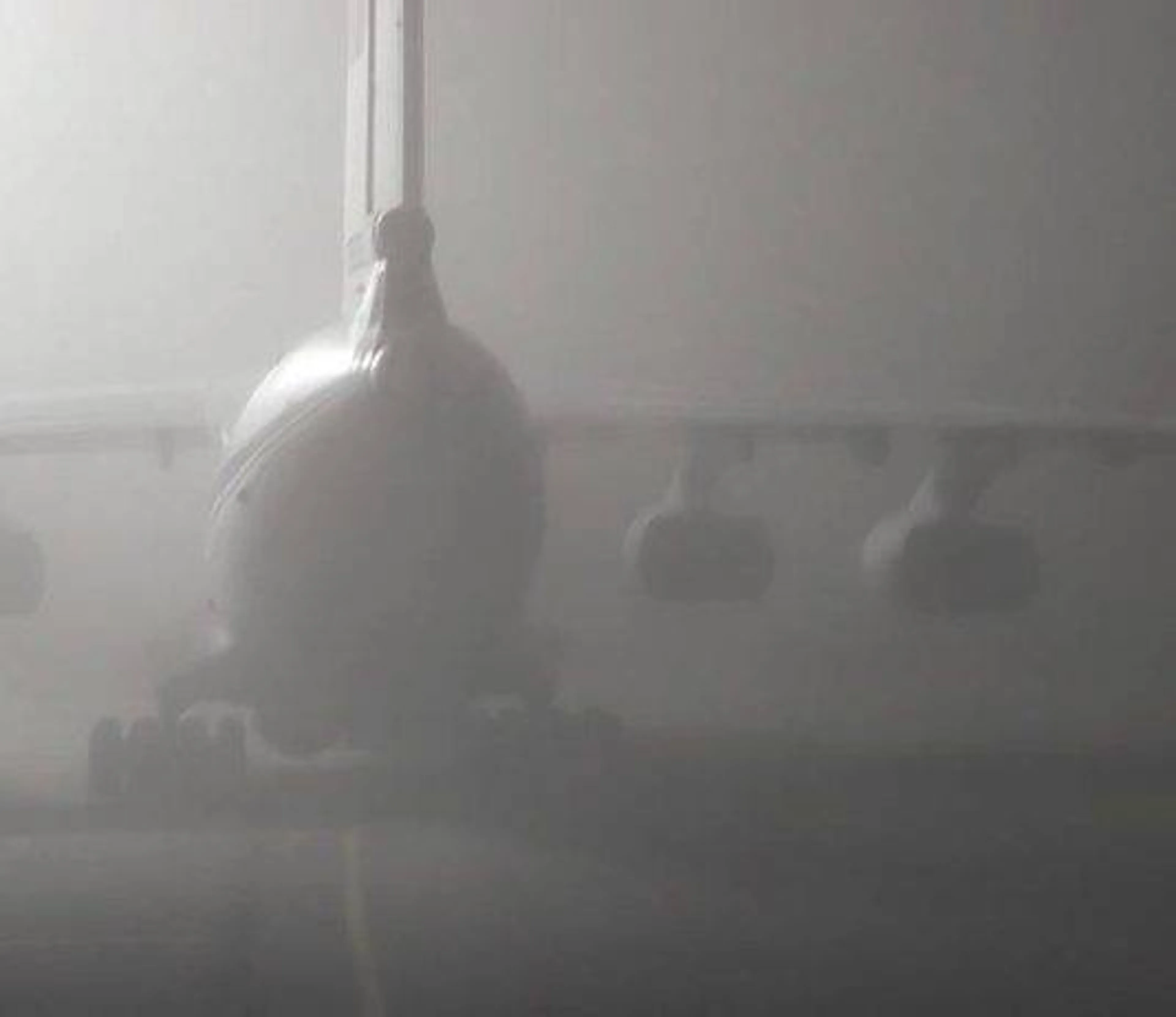 Капитал - В КГА назвали причину туманов в районе аэропорта Шымкента