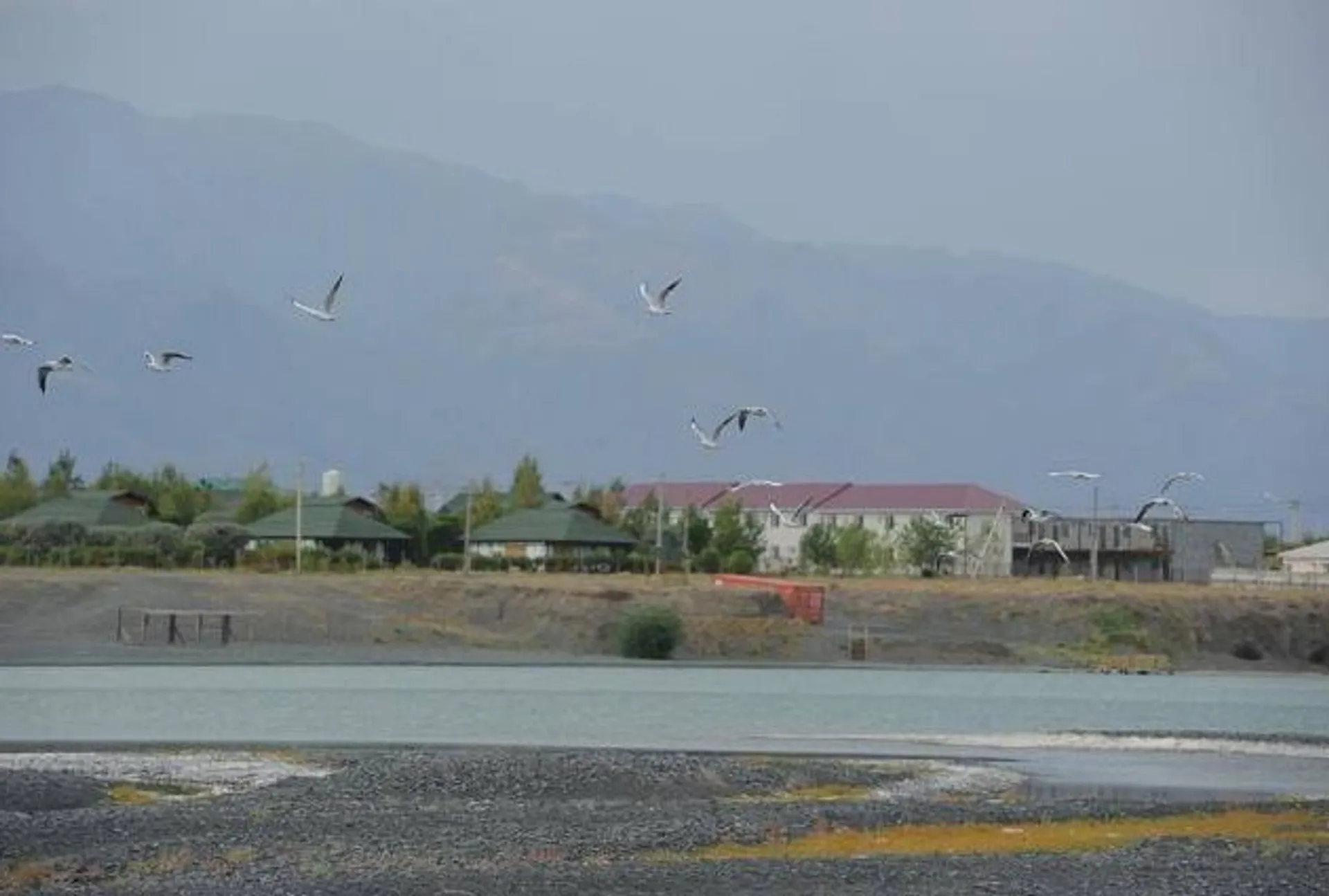 Капитал - На Алаколе планируют построить круглогодичный оздоровительный комплекс