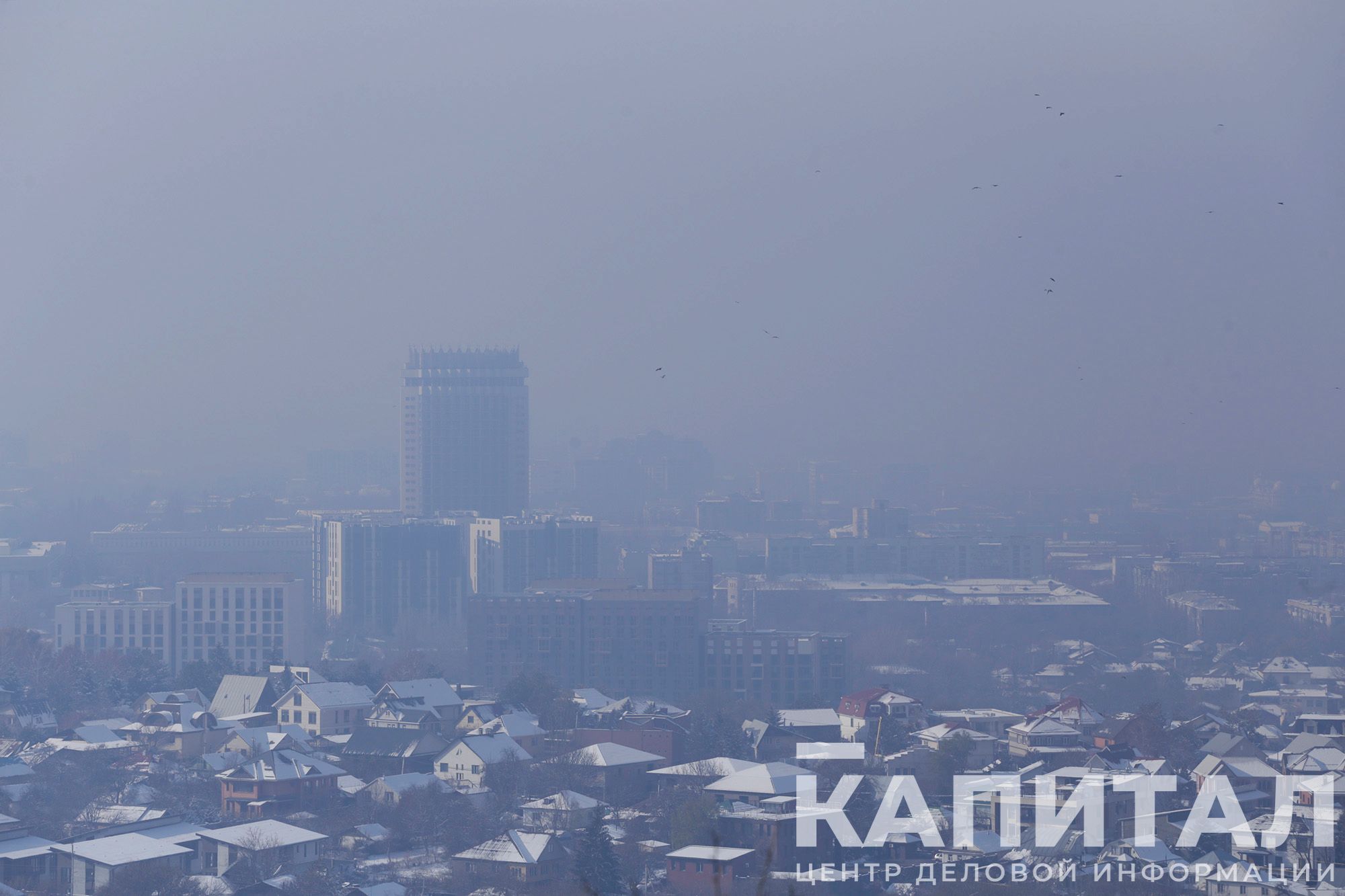 Фото: Руслан Пряников