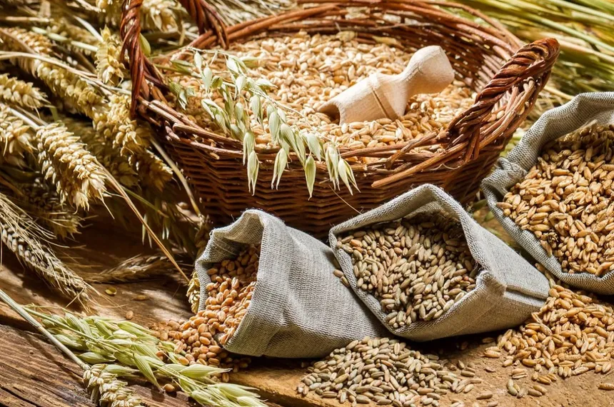 Капитал - Пшеница подорожала до максимума за 4 месяца