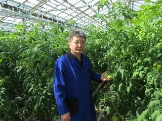 Капитал - Казахстанская теплица снабжает овощами города Сибири