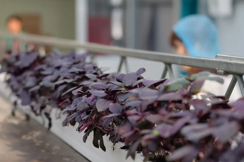 Фото: Владимир Третьяков