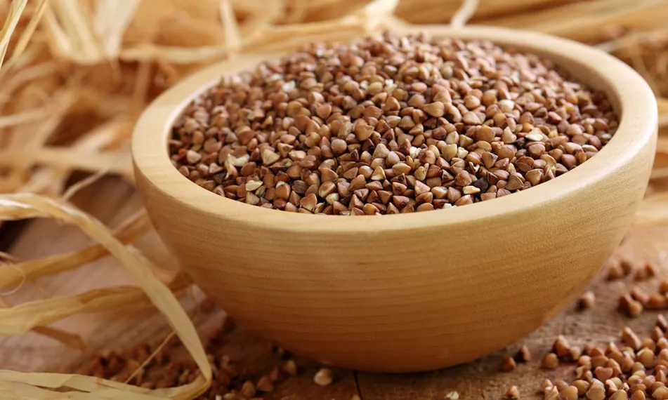 фото: elektro.guru