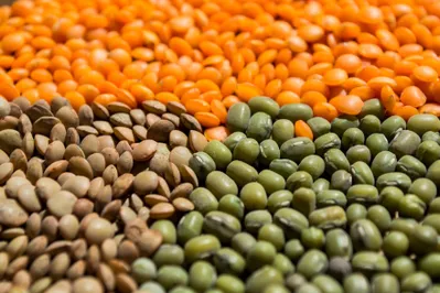 Минсельхоз нацелен на диверсификацию экспортных поставок