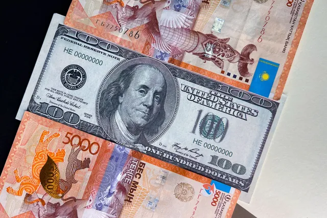 Фото: Валерия Змейкова