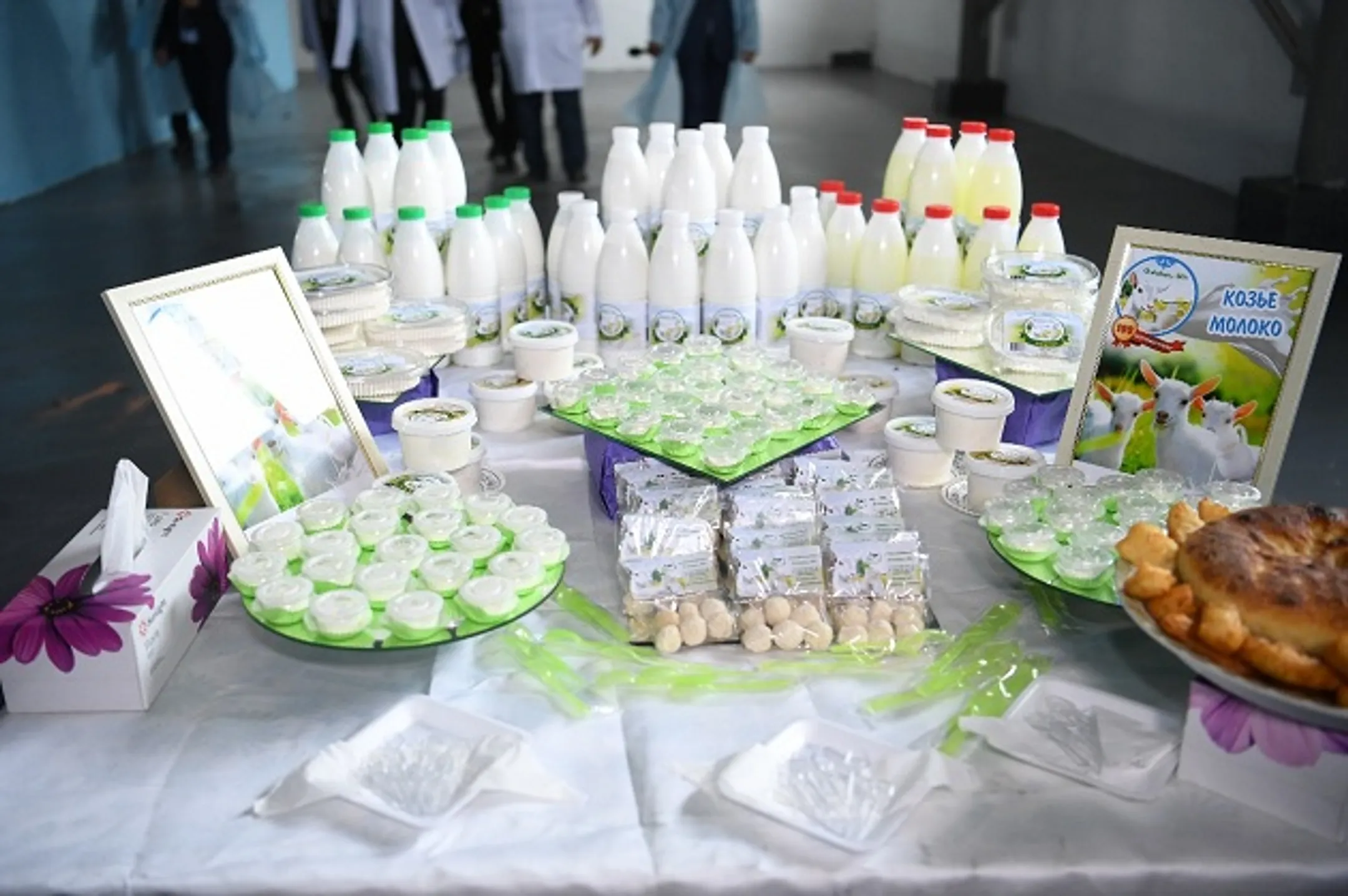 В ЮКО запустили первое производство по переработке козьего молока - Image Kapital.kz