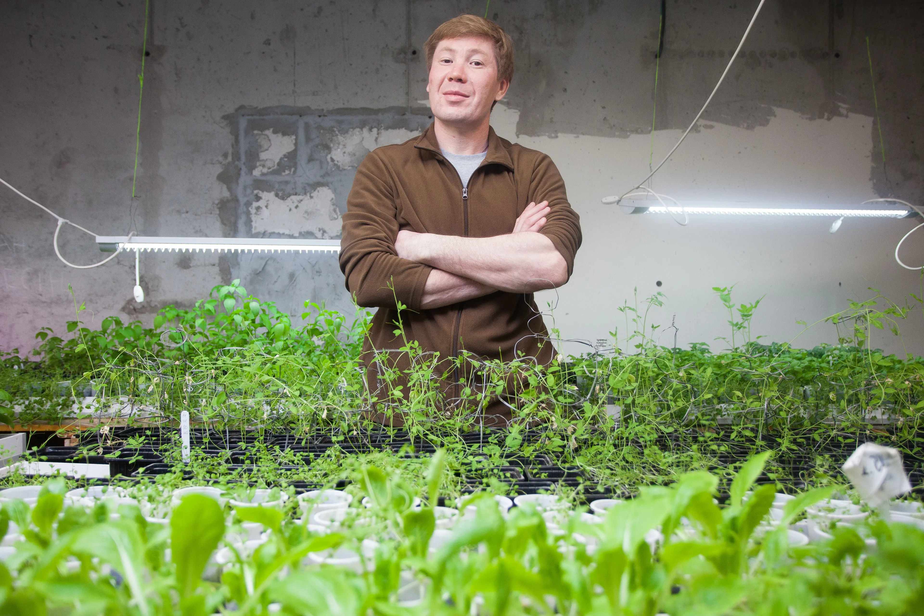 Капитал - Бизнес с пряным вкусом: как создать городскую ферму?