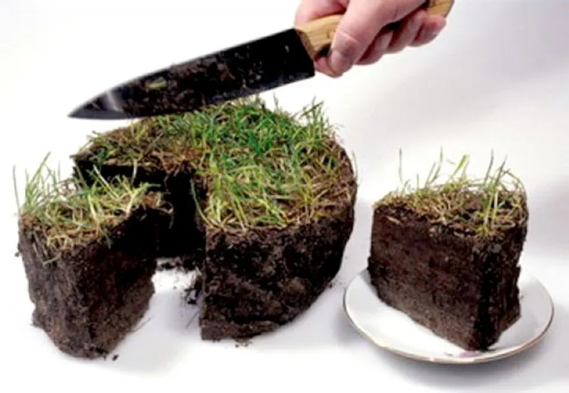 Капитал - В Алматы 8,5 га неосвоенных земель вернутся государству