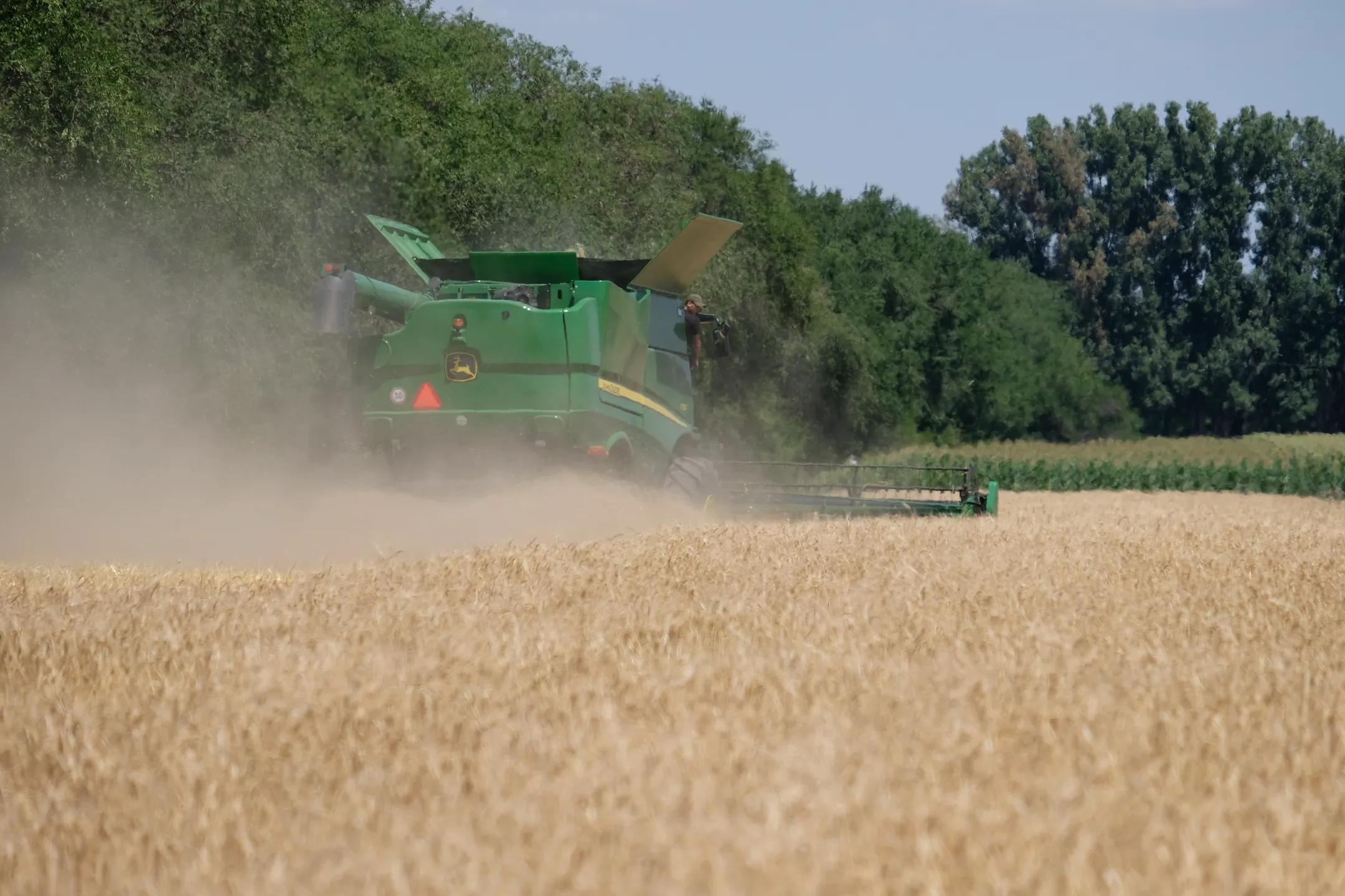 Перспективы аграрной отрасли Алматинской области - Image Kapital.kz