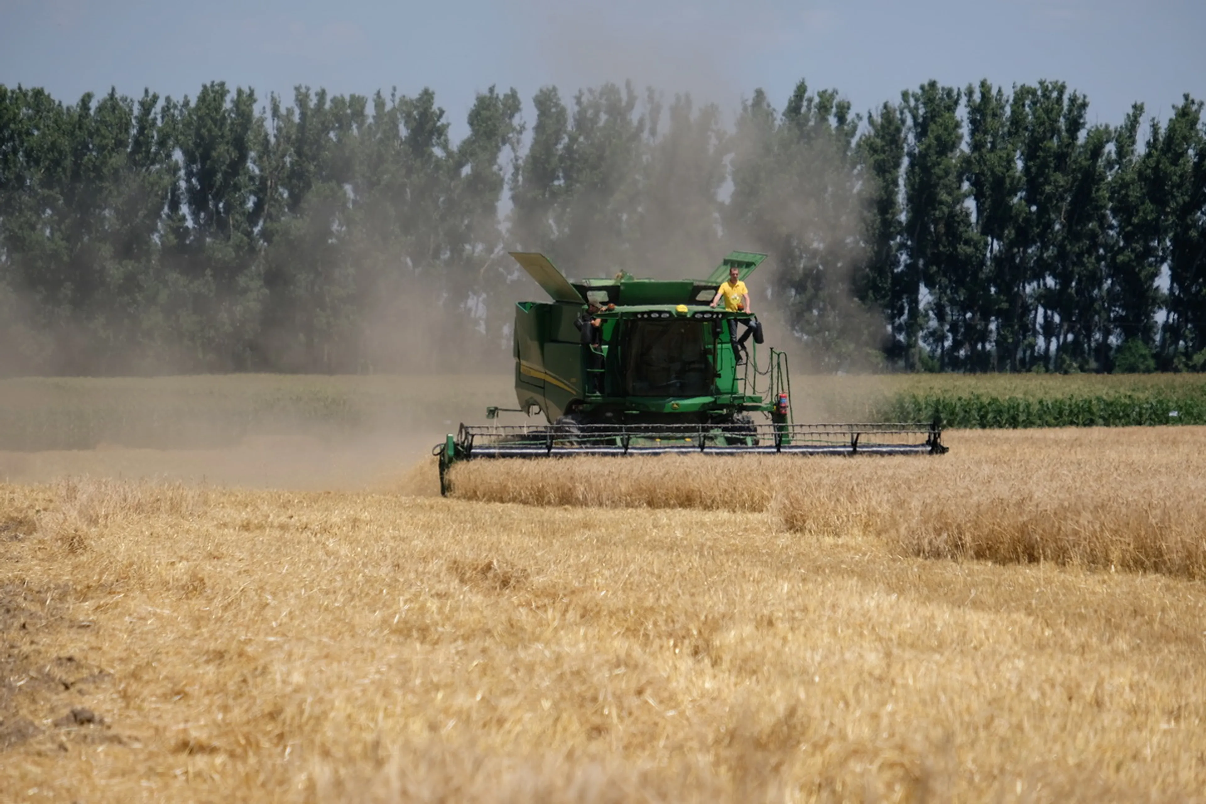 Капитал - Экспортный потенциал по зерну в Казахстане снижен до 6-7 млн тонн