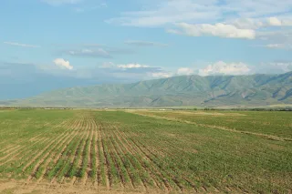 Фото: Руслан Пряников