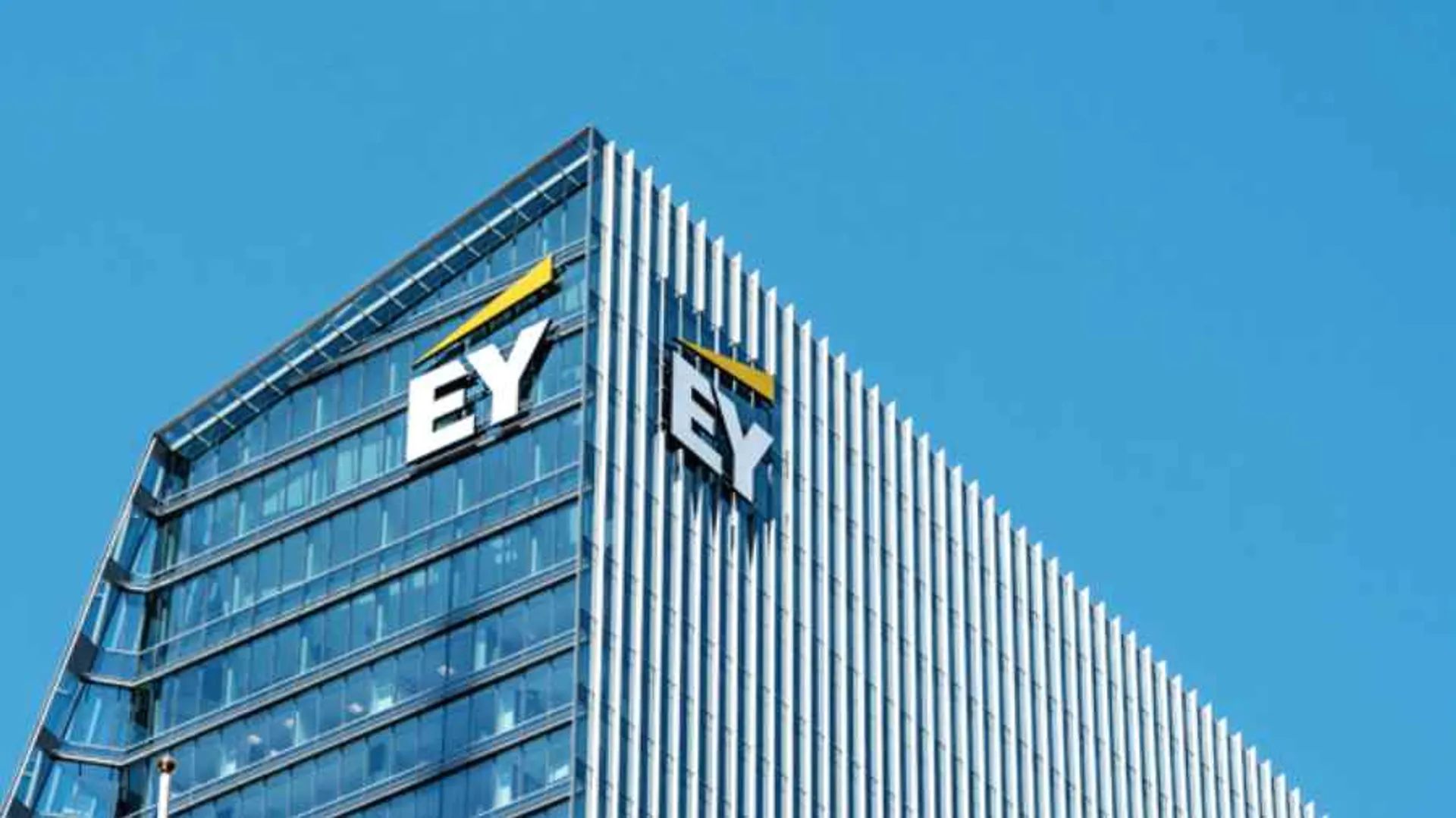Капитал - EY предлагают разделить на две компании