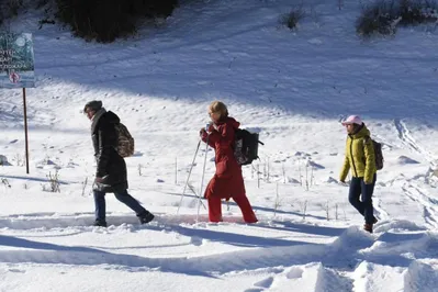 Фото: акимат Алматы
