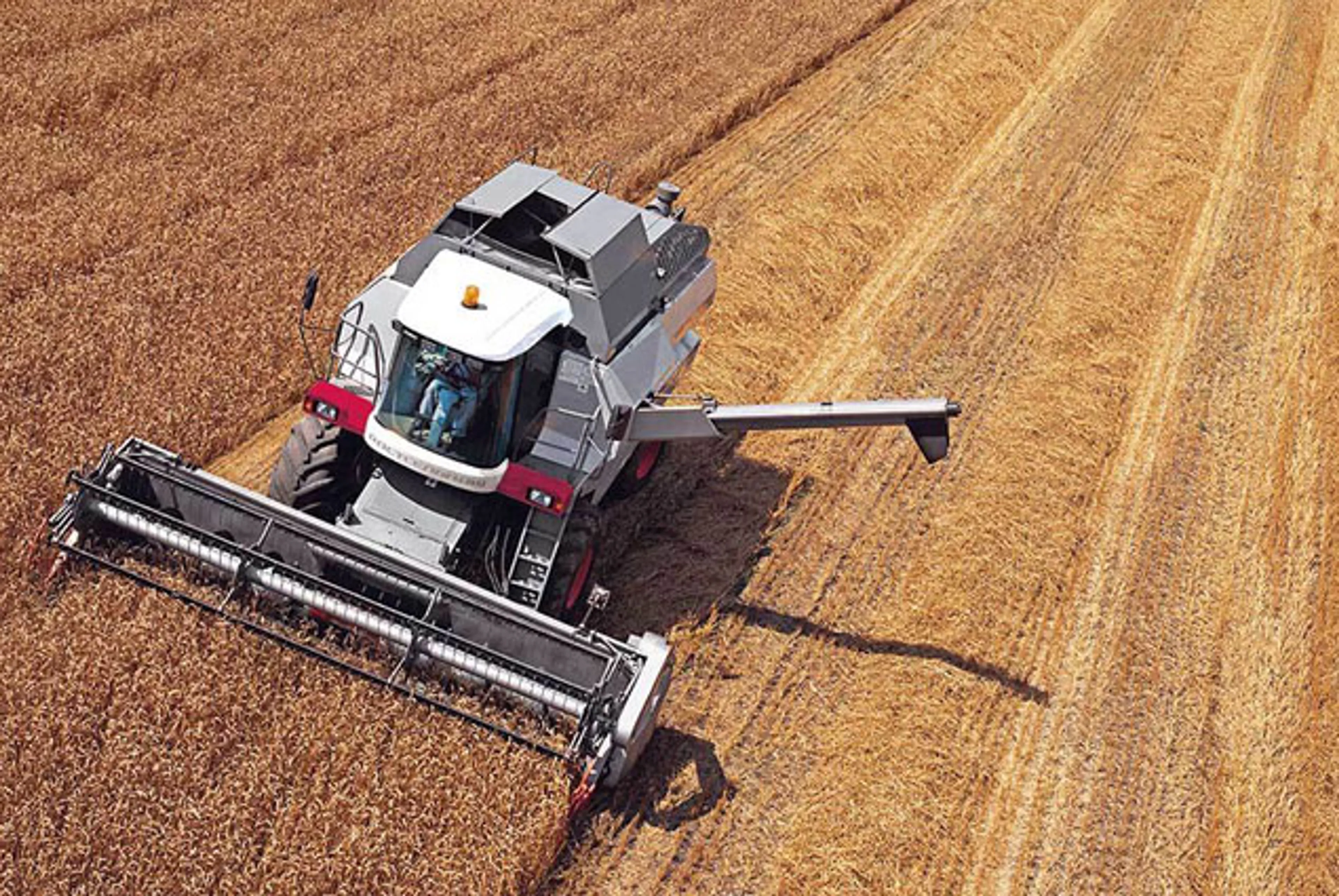 Капитал - Казагромаркетинг просубсидировал кредитов на 115,1 млн тенге