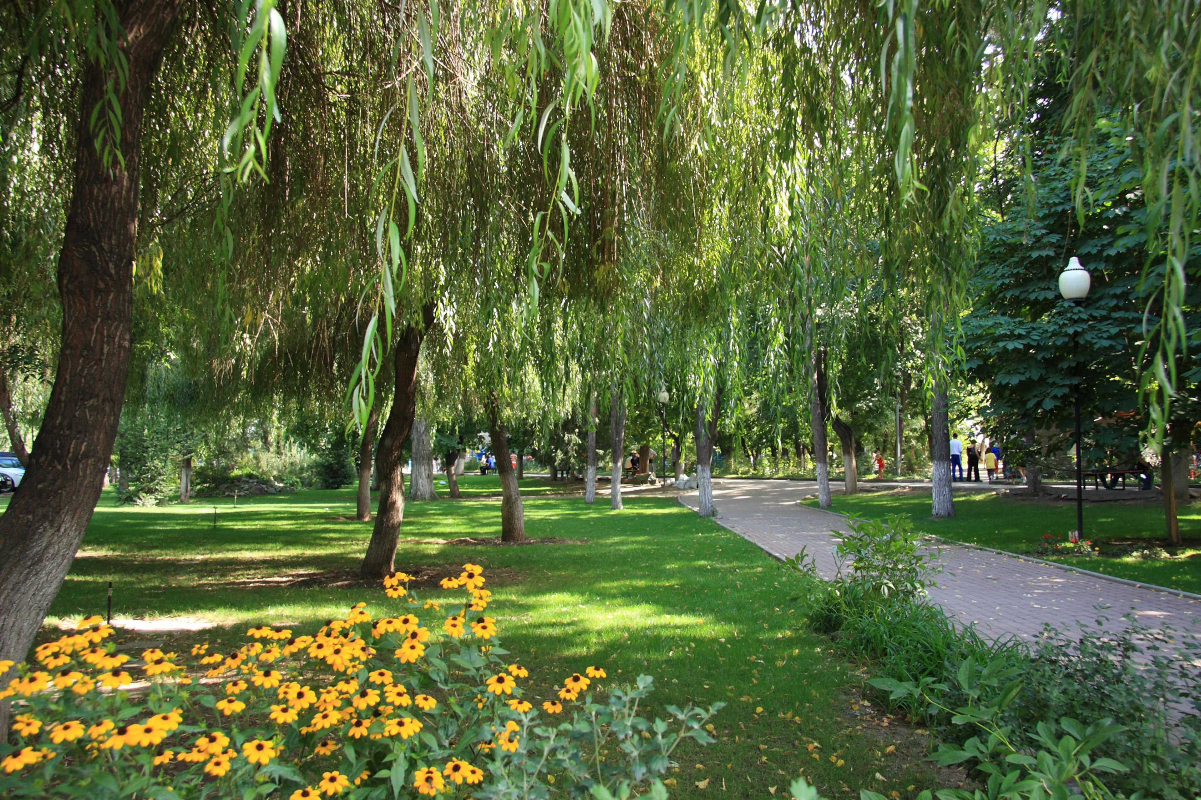 Капитал - За создание парков взялись застройщики Алматы