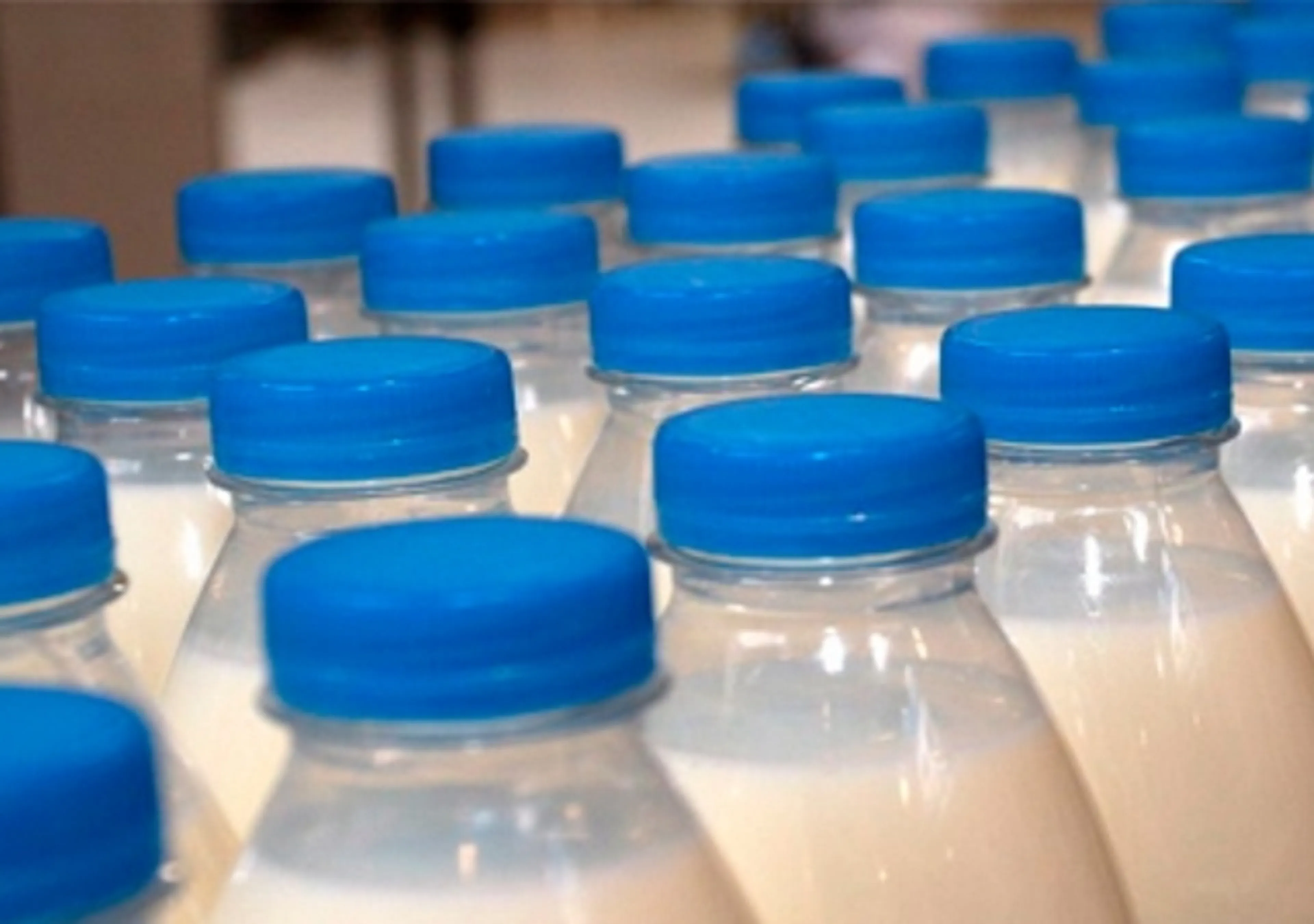 Капитал - Зараженная молочная продукция в РК не завозилась