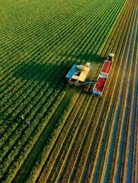 Почему главная житница страны страдает от дорогого дизтоплива