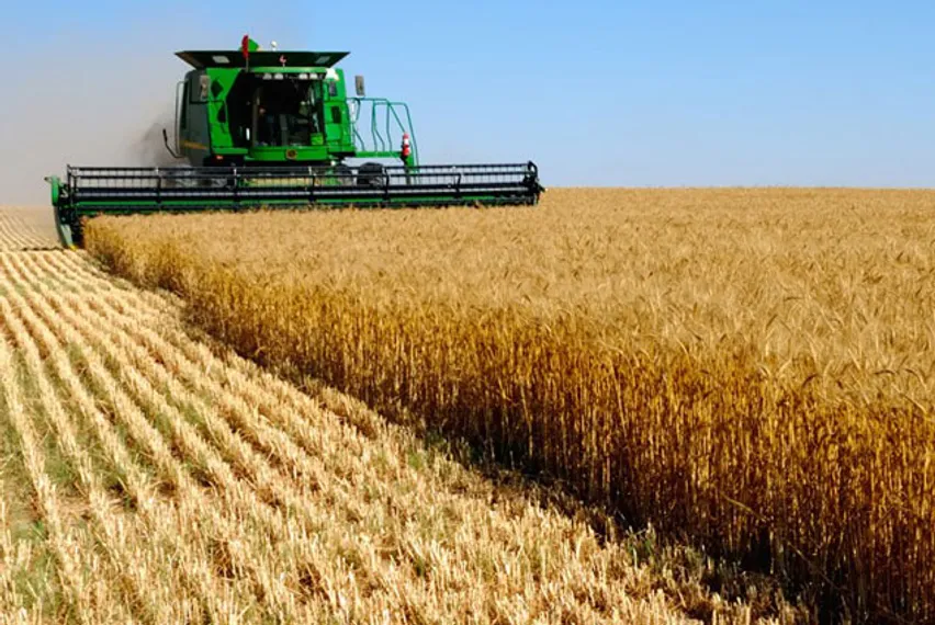 Капитал - Сельское хозяйство вышло на 2-е место по росту кредитного портфеля