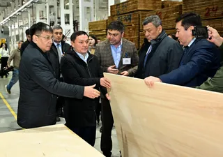 Капитал - В СКО открылось предприятие по производству фанеры