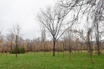 В алматинском парке Южный не будут строить жилой комплекс