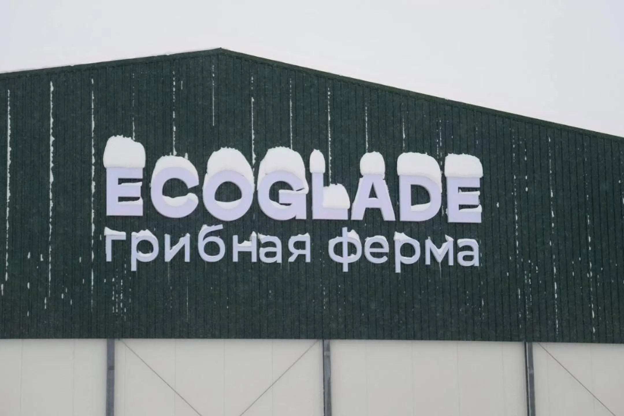 Изображение Kapital.kz