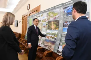 Капитал - В Алматы за три года высадят миллион деревьев