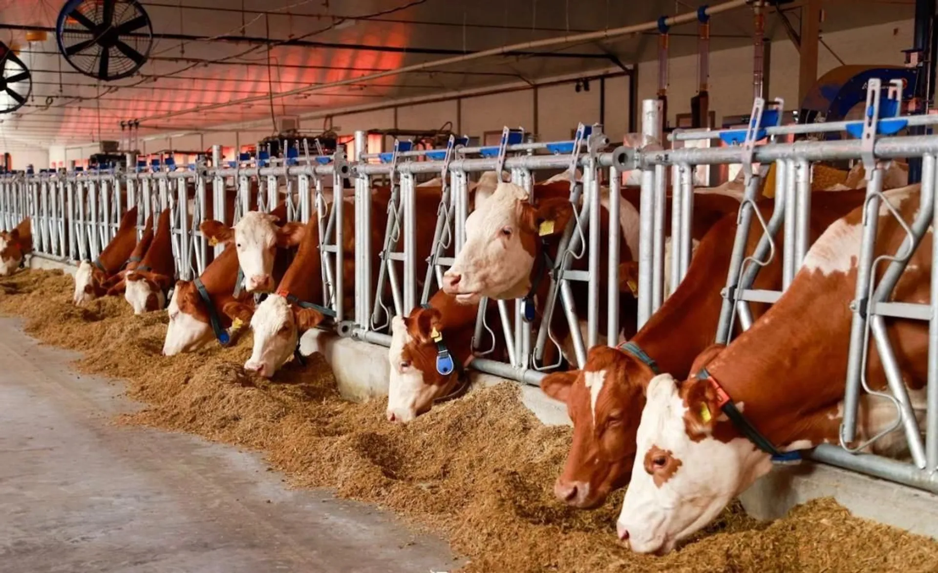 Фото: сайт акимата Восточно-Казахстанской области 