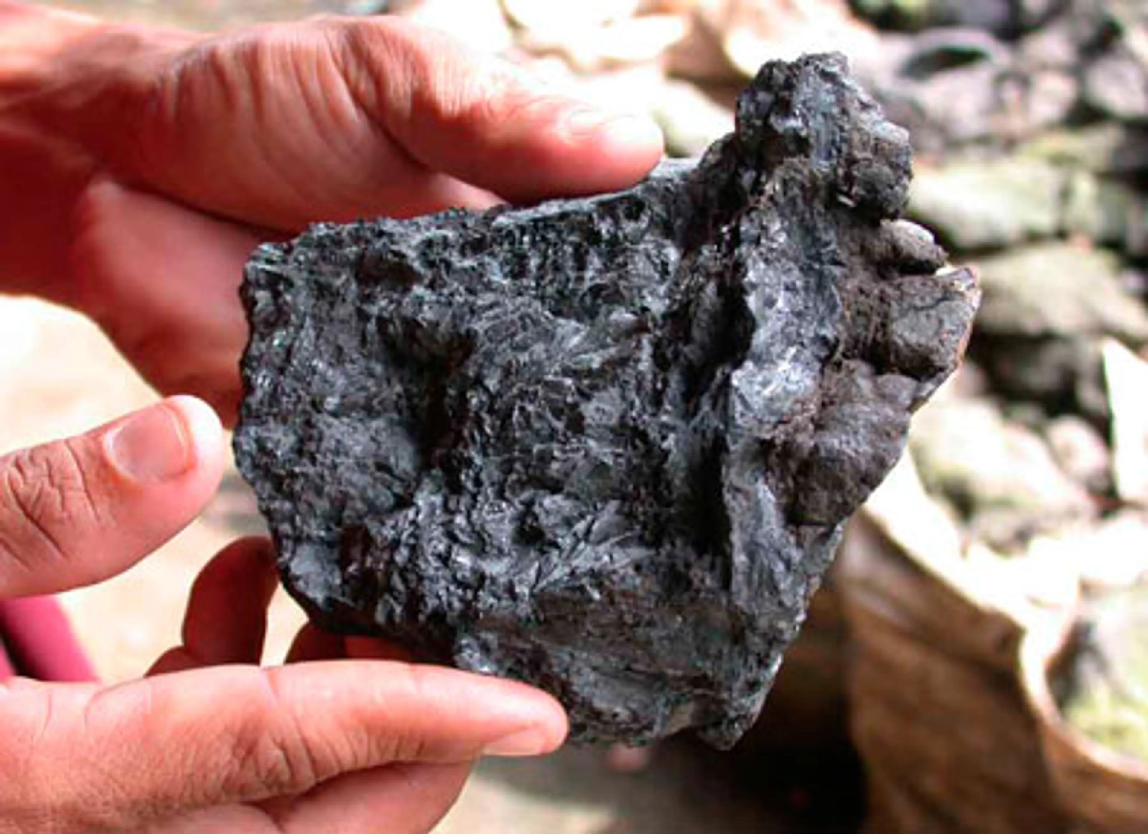 Капитал - При использовании ресурсов страна теряет до $8 млрд.