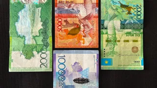 Фото: Валерия Змейкова