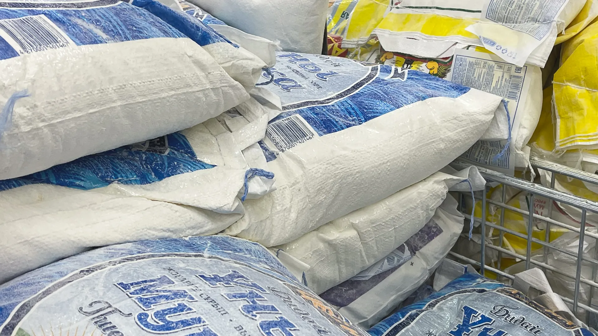 Фото: Валерия Змейкова