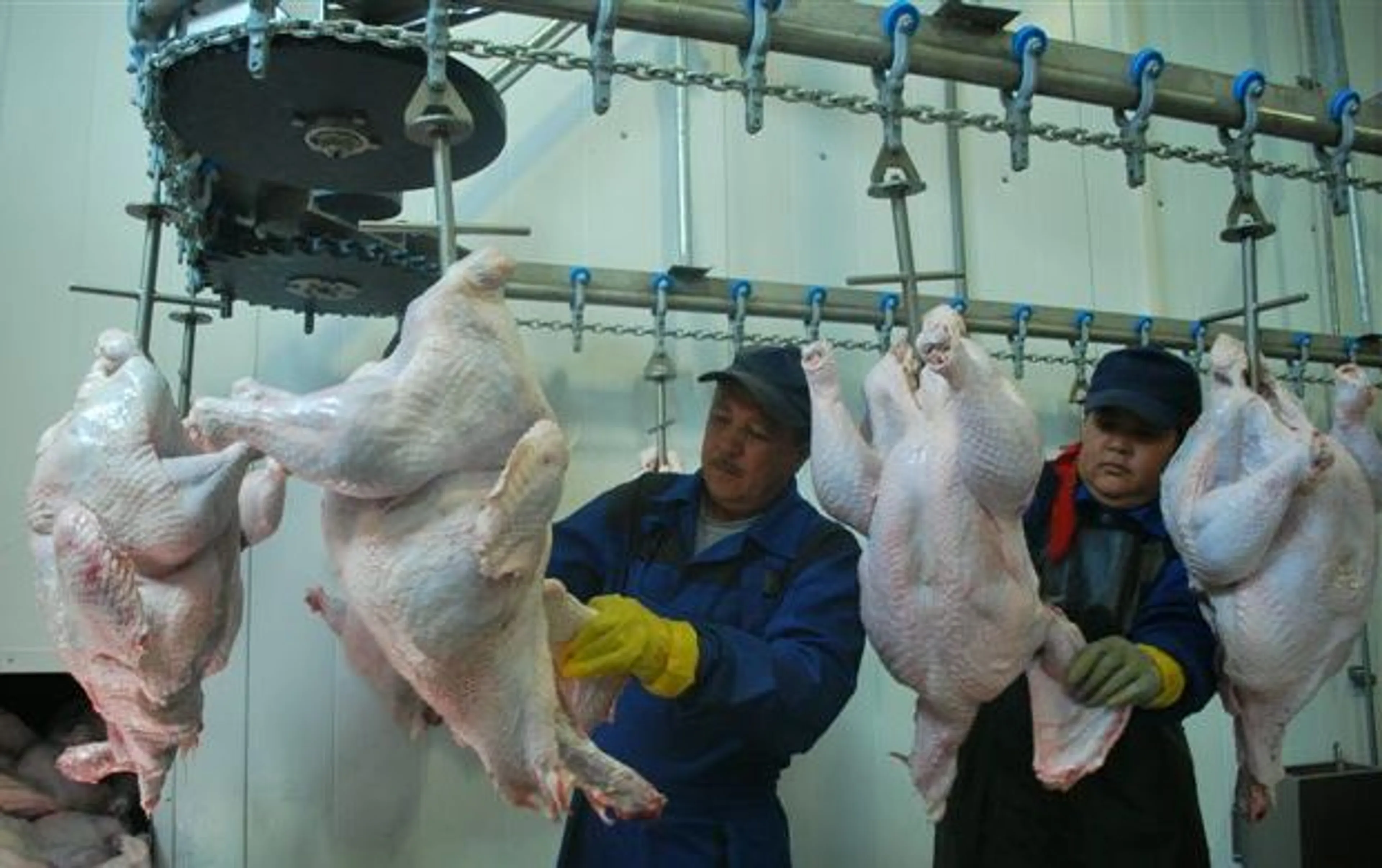 Капитал - Казахстанское мясо станет продуктом премиум-класса