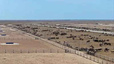 Фото: Түркістан облысы әкімдігінің баспасөз қызметі