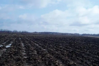 Сотрудников акимата Атырау подозревают в коррупции