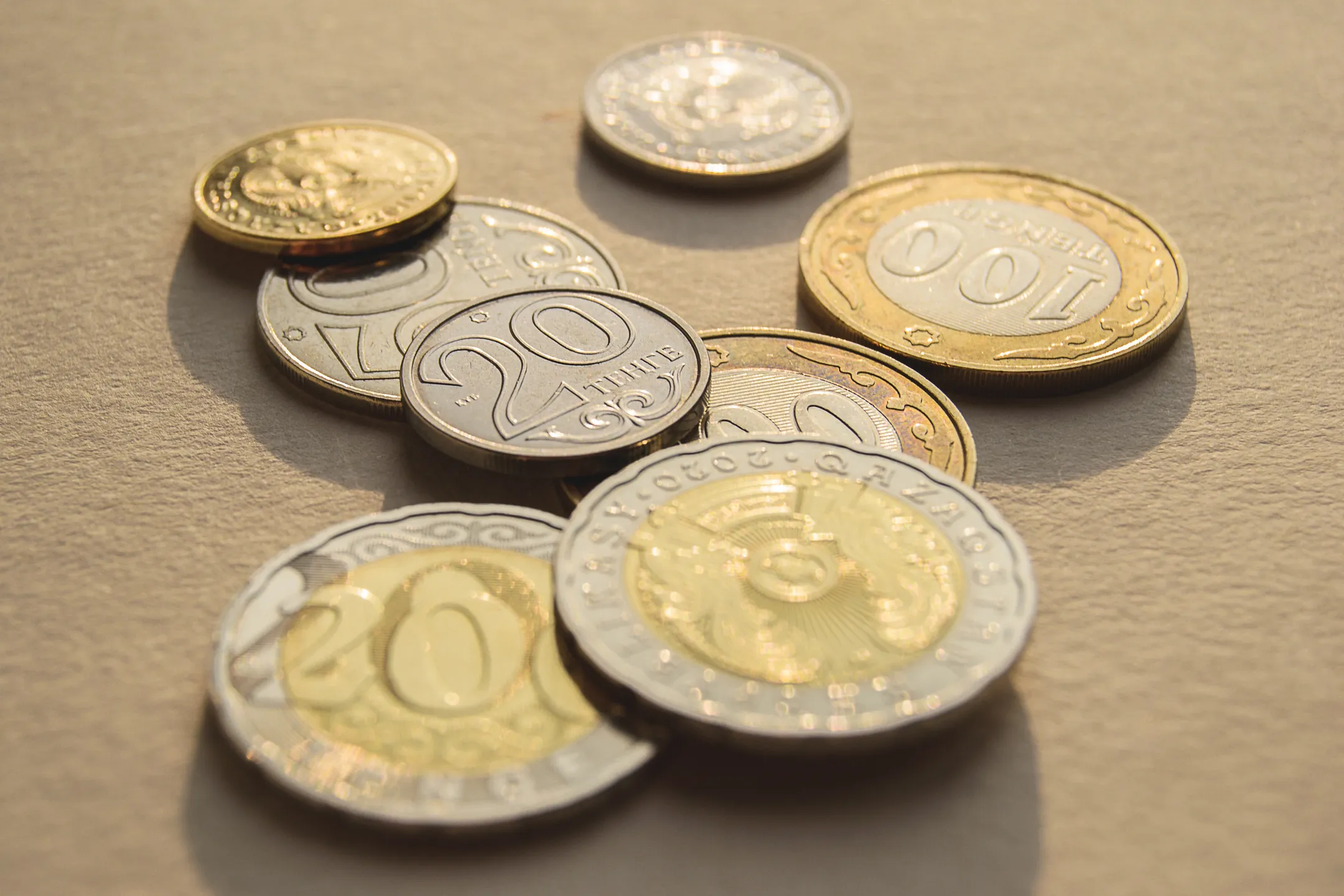 Фото: Валерия Змейкова