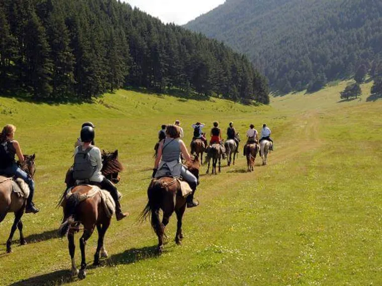 Капитал - План развития экотуризма
поможет привлечь до 70 млрд тенге