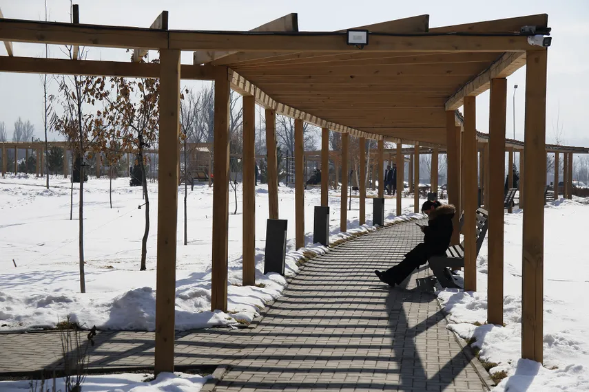 Фото: Руслан Пряников