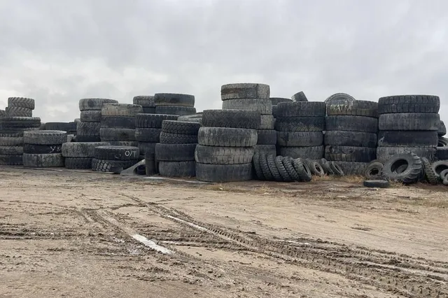 Фото: Экология және табиғи ресурстар министрлігі