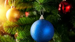 Капитал - Союз потребителей возмущен затратами на елку