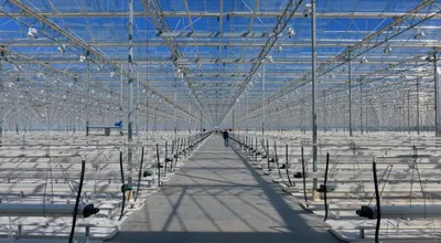 Инвесторы получили около 200 гектаров в Индустриальной зоне Алматы