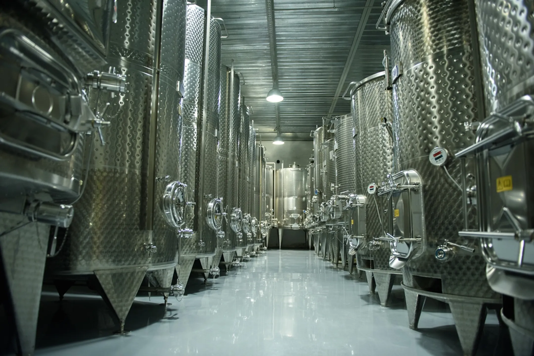 От зарождения до вершин: путь Arba Wine за 10 лет - Image Kapital.kz