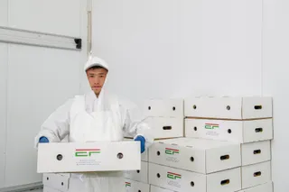 Капитал - АПК Алматинской области будут развивать по четырем направлениям