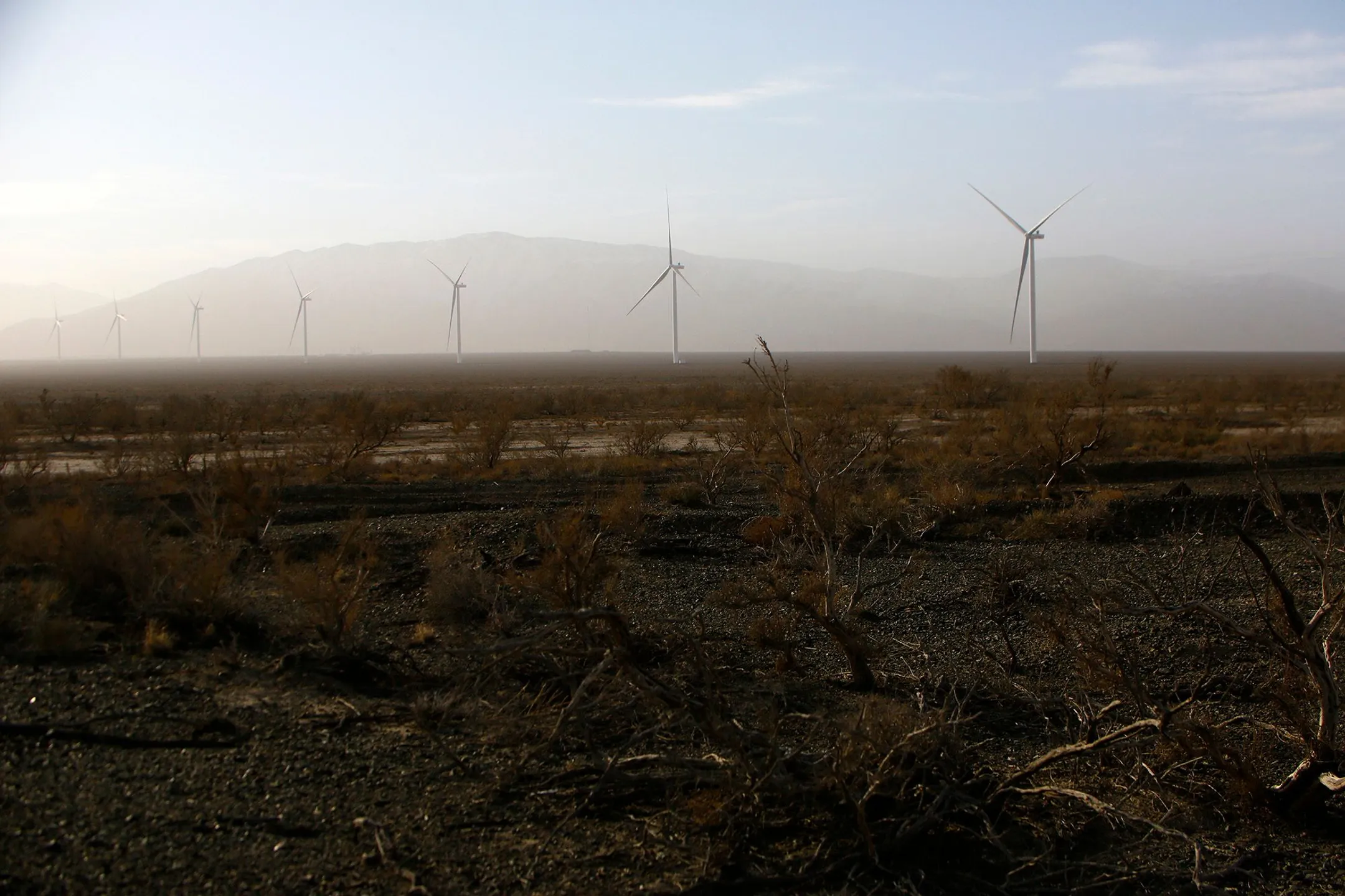 Фото: Руслан Пряников