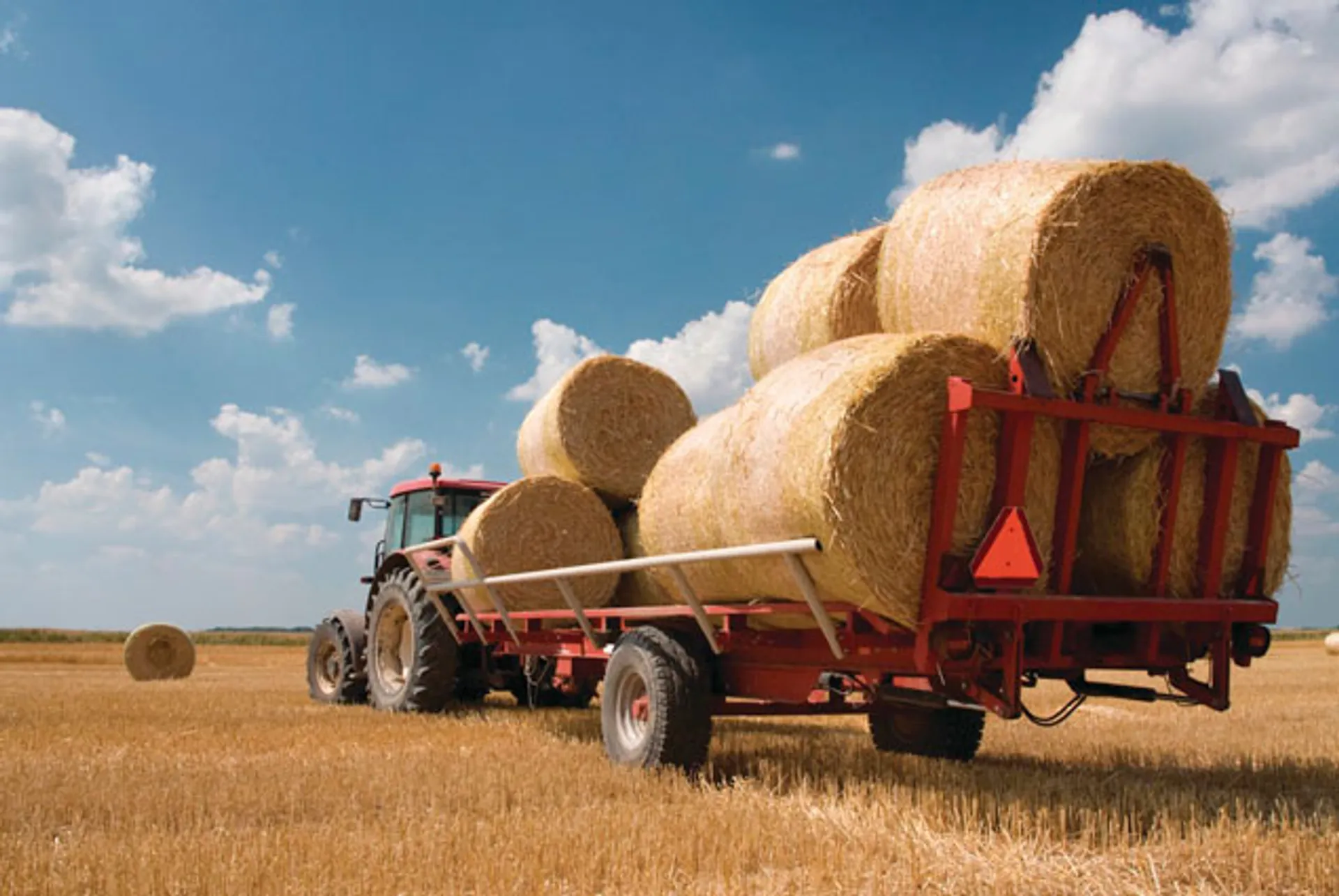 Капитал - Подписаны поправки в законодательство по развитию агропрома