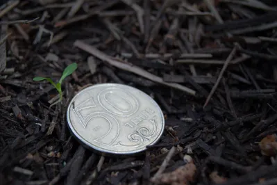 Разработана Дорожная карта по изъятию неиспользуемых земель