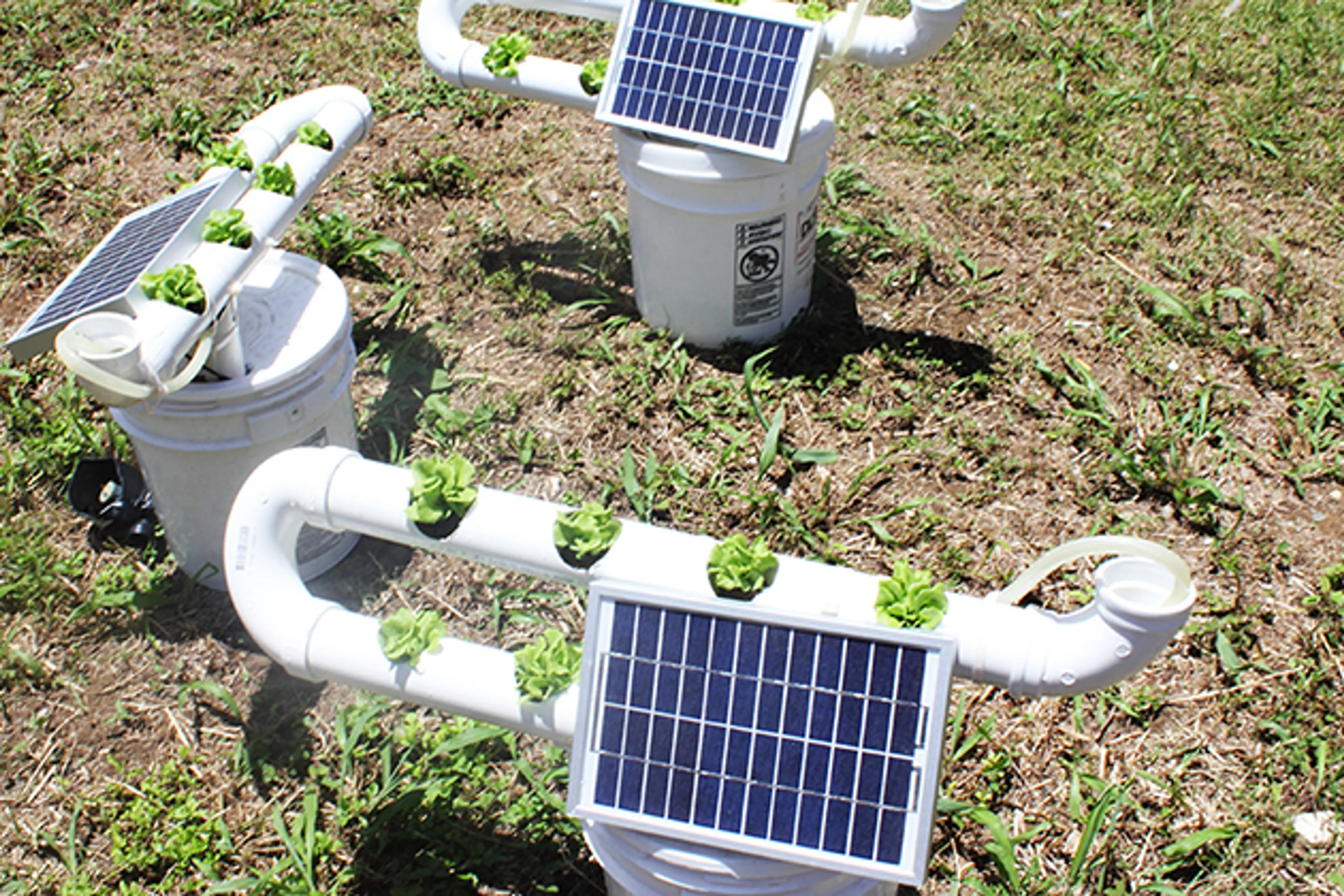 Капитал - Станет ли Шымкентская агломерация «сердцем Шелкового пути»?