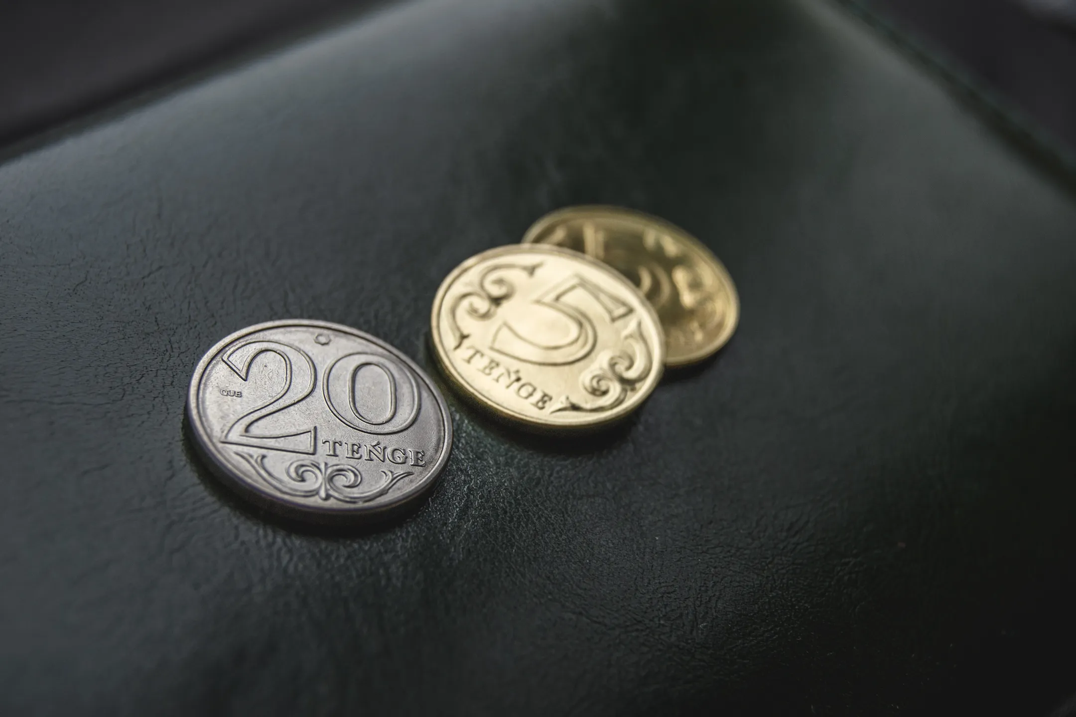 Фото: Валерия Змейкова