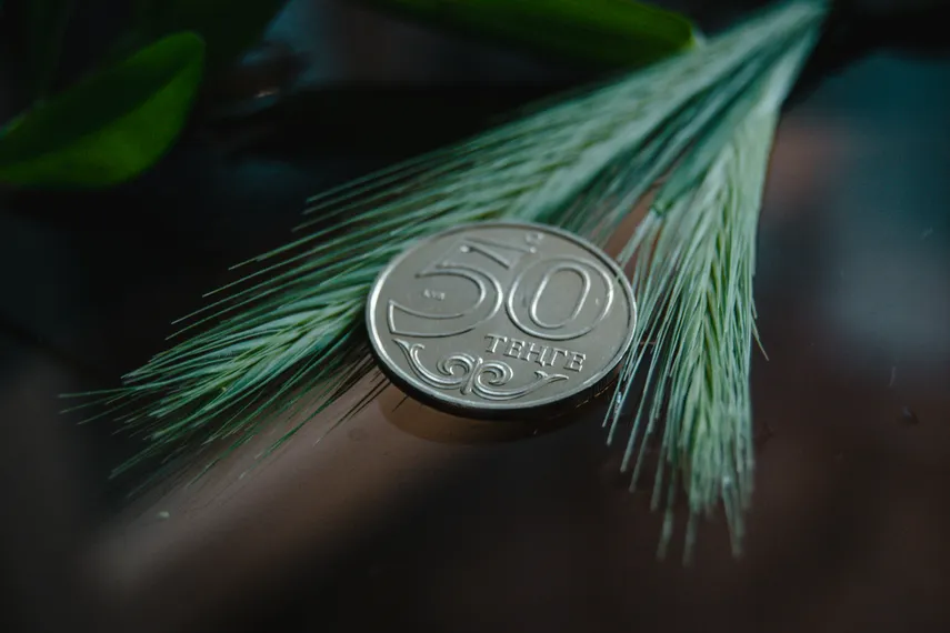 Фото: Валерия Змейкова