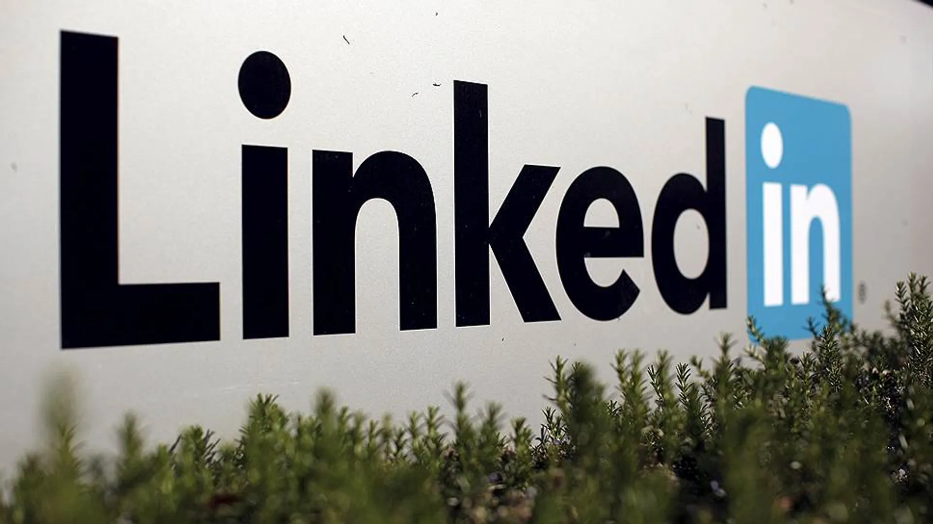 Капитал - Microsoft покупает LinkedIn за $26,2 млрд